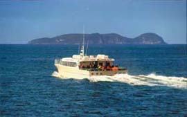 You can reach Rakiura Lodge accommodation by Stewart Island Experience ferry